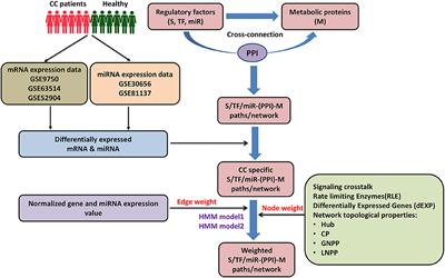 Identification of Cross-Pathway Connections via Protein-Protein Interactions Linked to Altered States of Metabolic Enzymes in Cervical Cancer